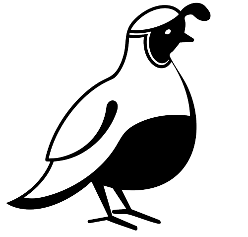The Desert Quail