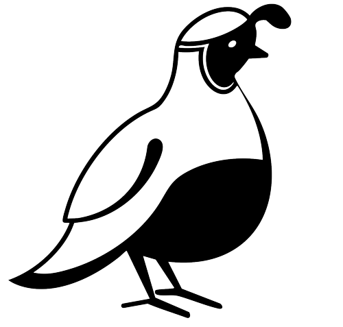 The Desert Quail